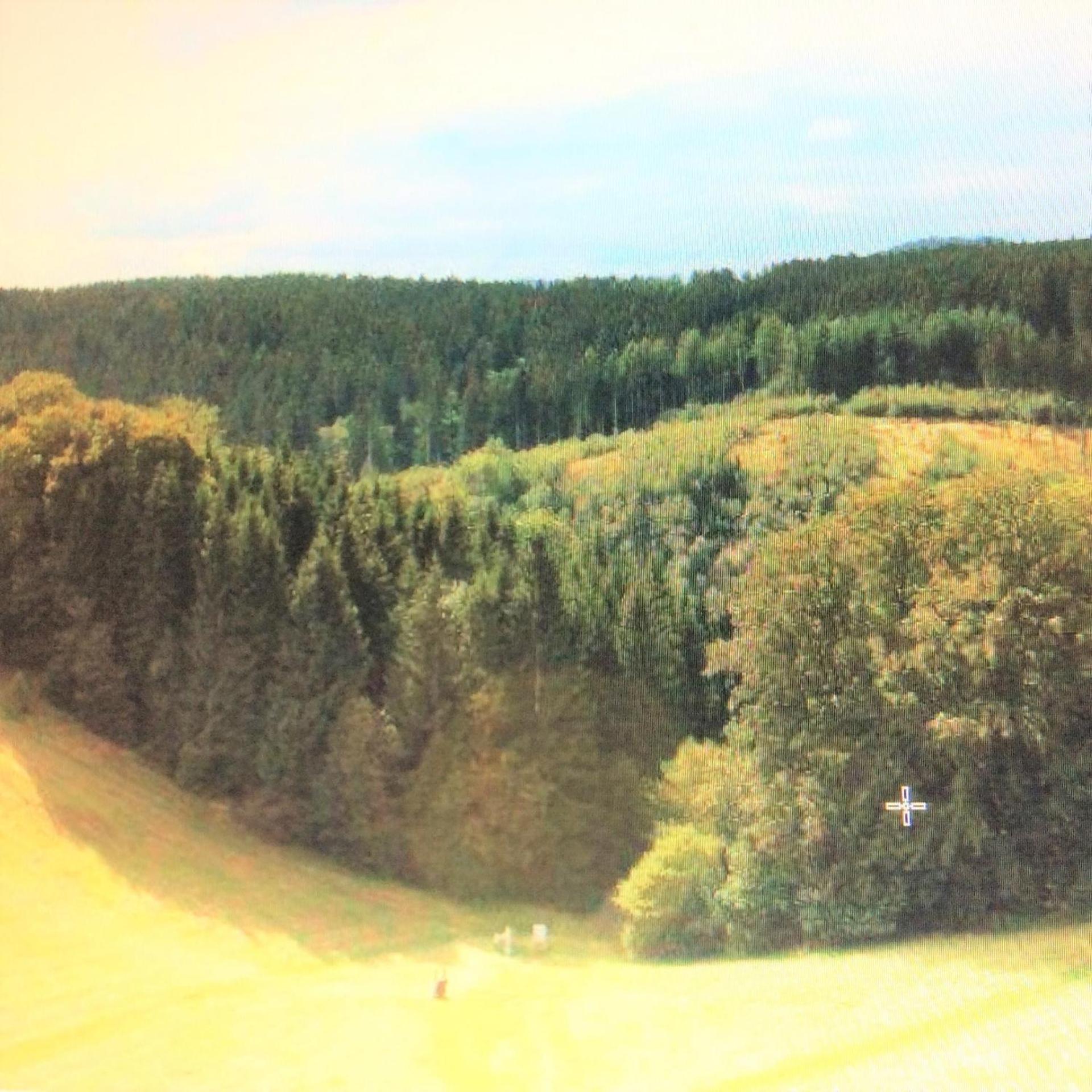 Ferienwohnung Panoramicharz App459 Braunlage Eksteriør billede